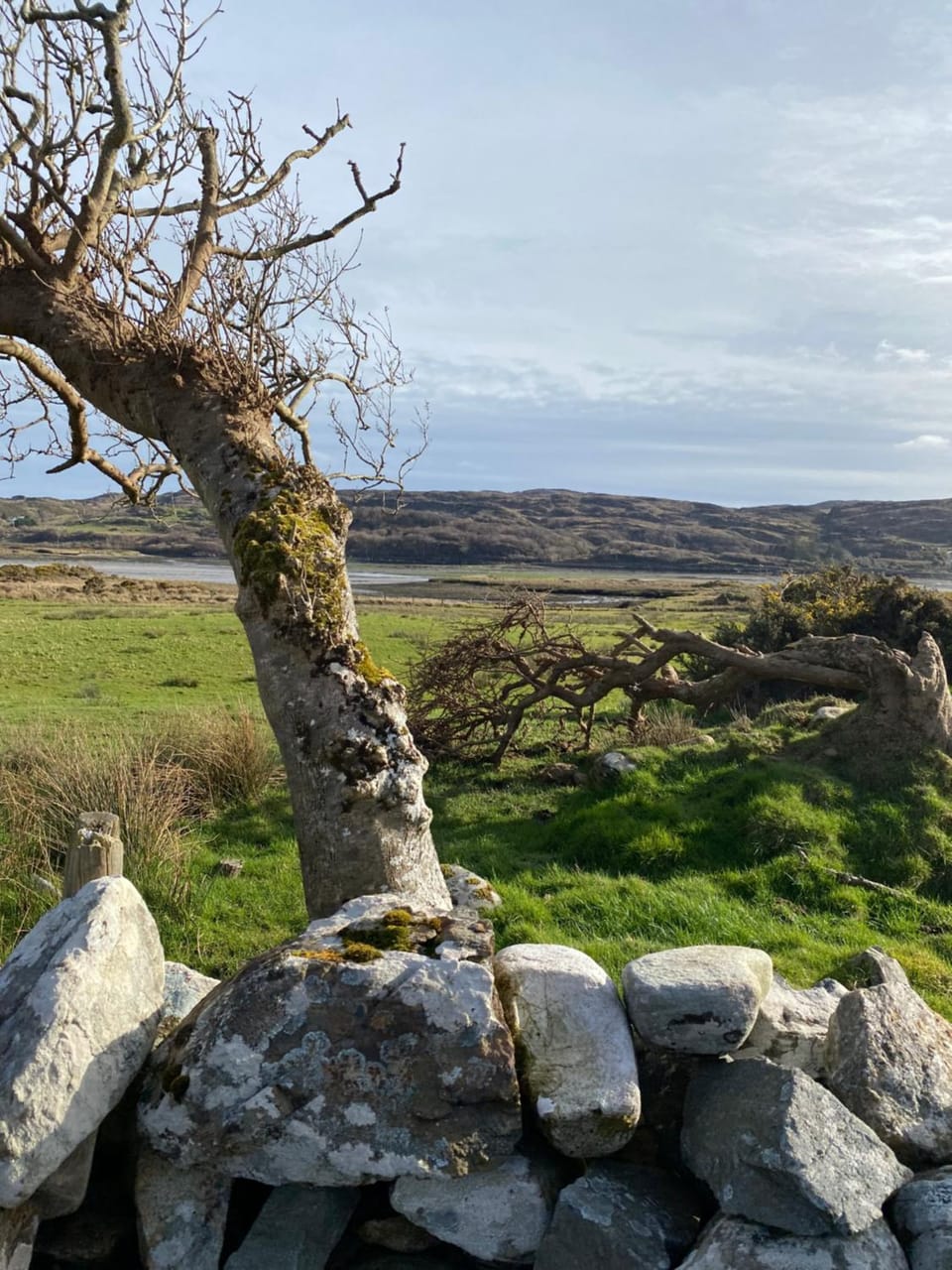 Drop Anchor House, Spacious 3 bedroom apartment, fabulous sea views Apartment in County Mayo