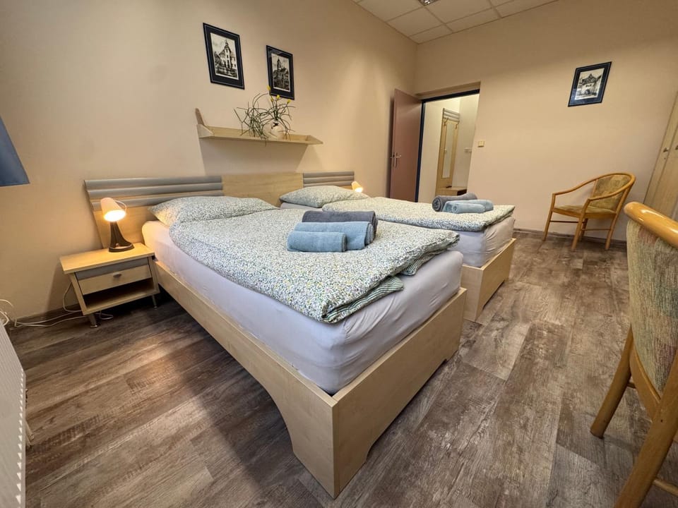 Penzion Neptun Bed and Breakfast in South Bohemian Region
