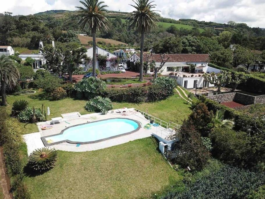 Day, Natural landscape, Garden, Pool view, Swimming pool