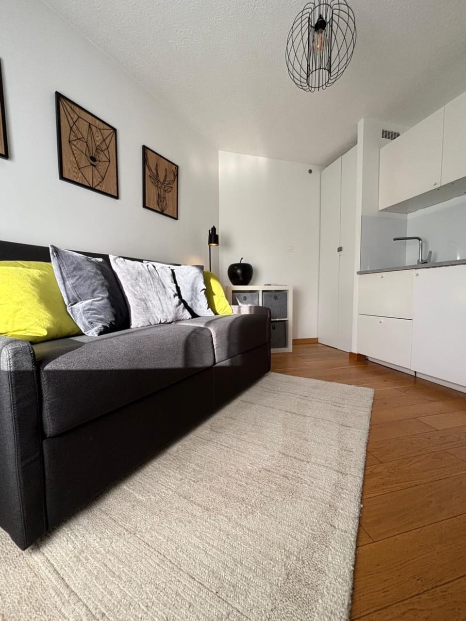 Studio Green Apple in Chamonix Centre, Parking, Ski Access Apartment in Chamonix