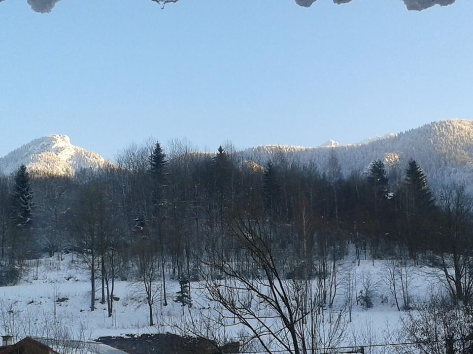 Natural landscape, Winter