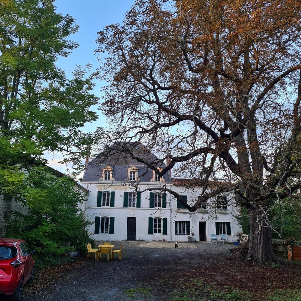 Property building, Garden view