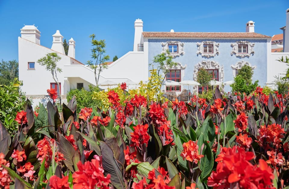 Property building, Garden, Garden view