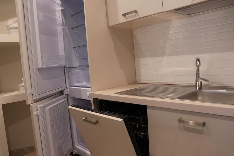 Kitchen or kitchenette, dishwasher