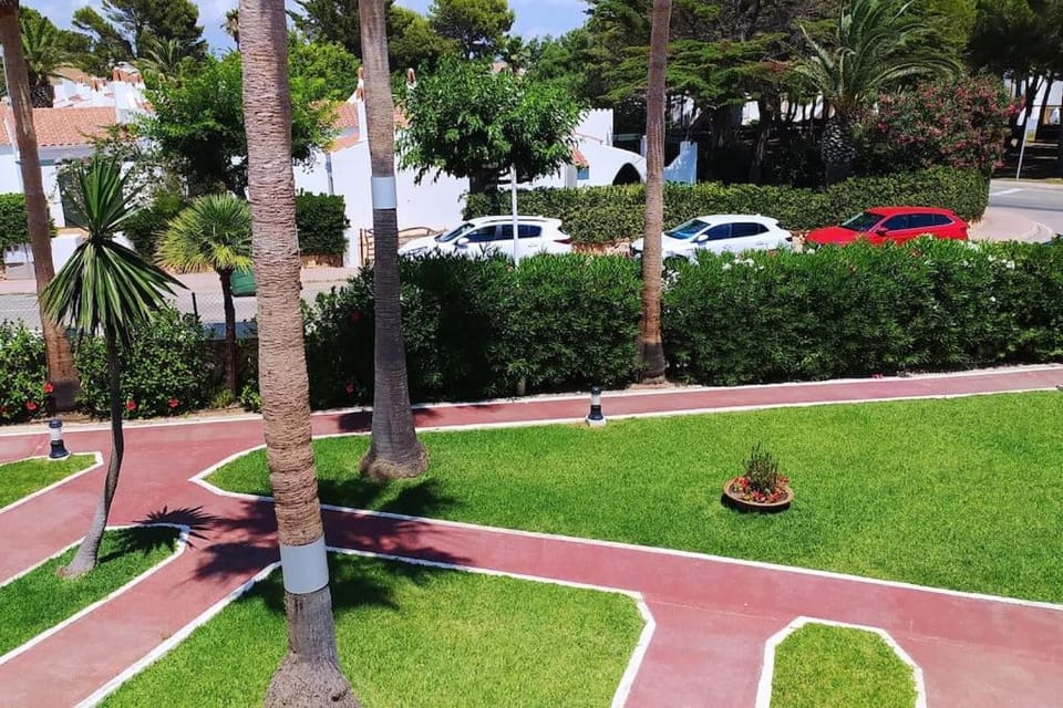 Garden, Garden view, Street view