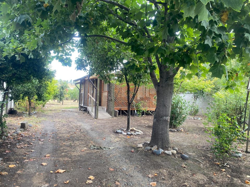Garden, Garden view