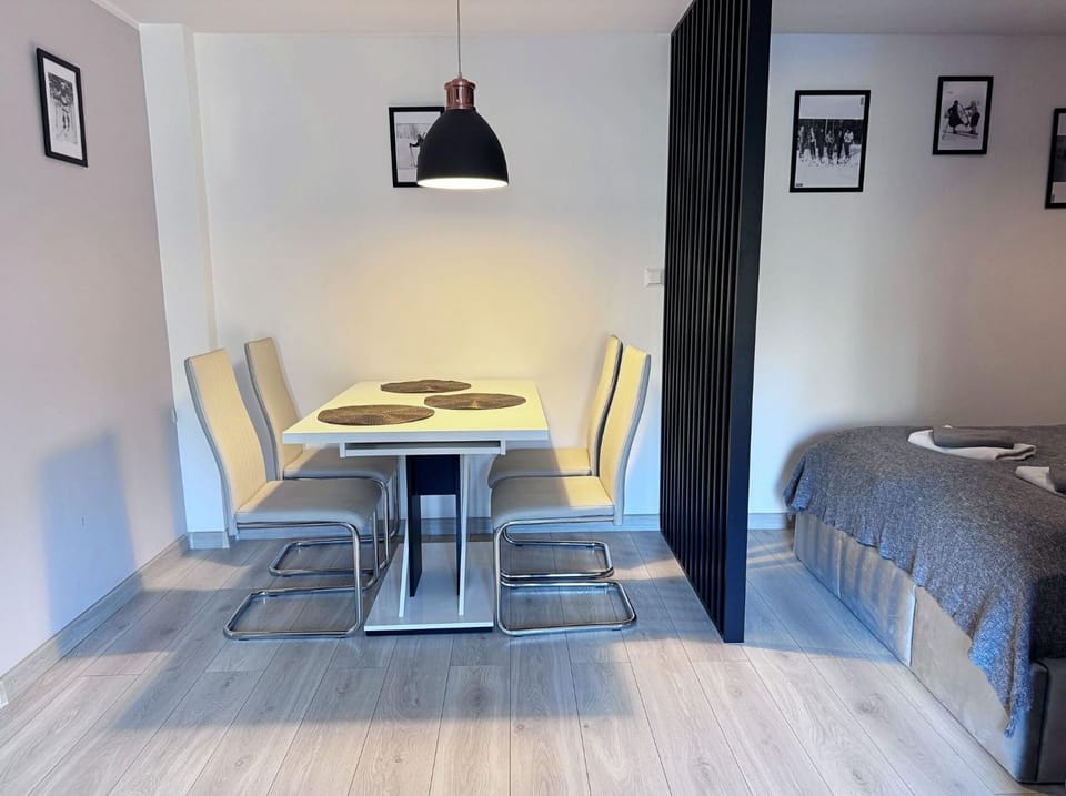Apartament Dzikowiec Apartment in Lower Silesian Voivodeship
