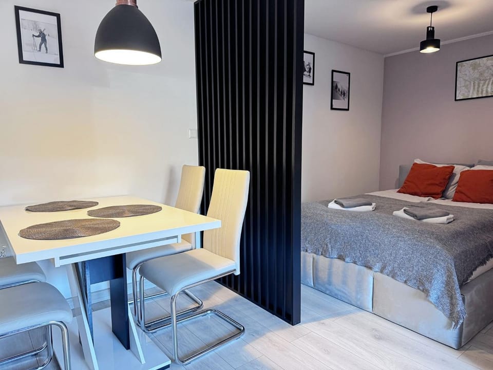 Apartament Dzikowiec Apartment in Lower Silesian Voivodeship