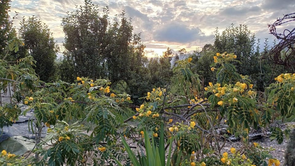 Garden, Hiking