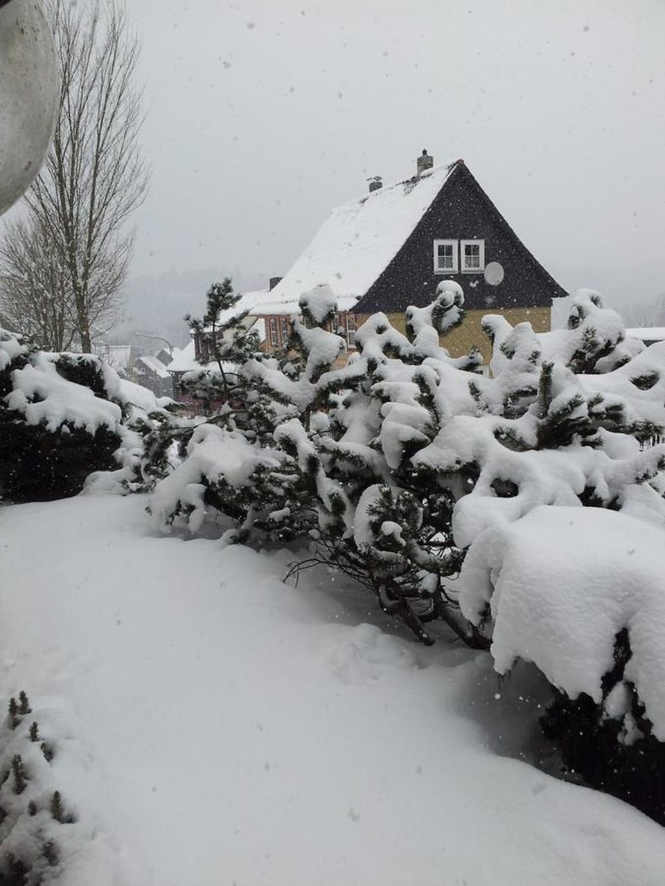 Winter, Other