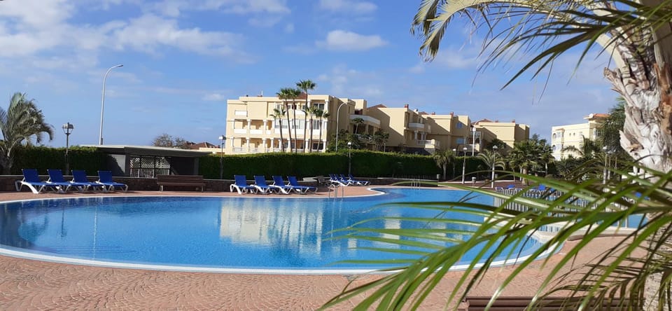 Swimming pool, sunbed