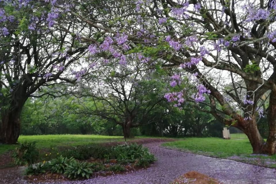 Facade/entrance, Garden