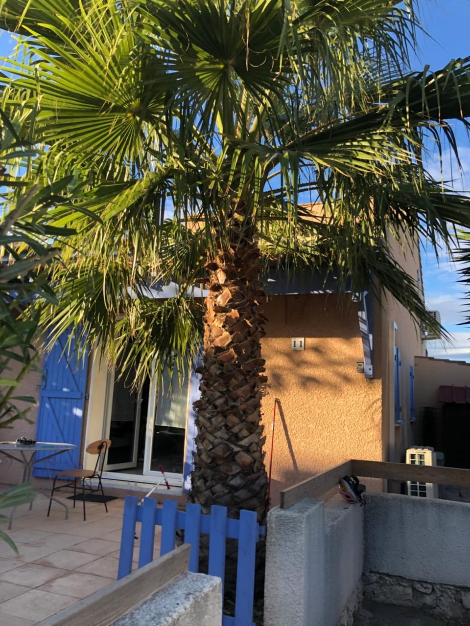 Patio