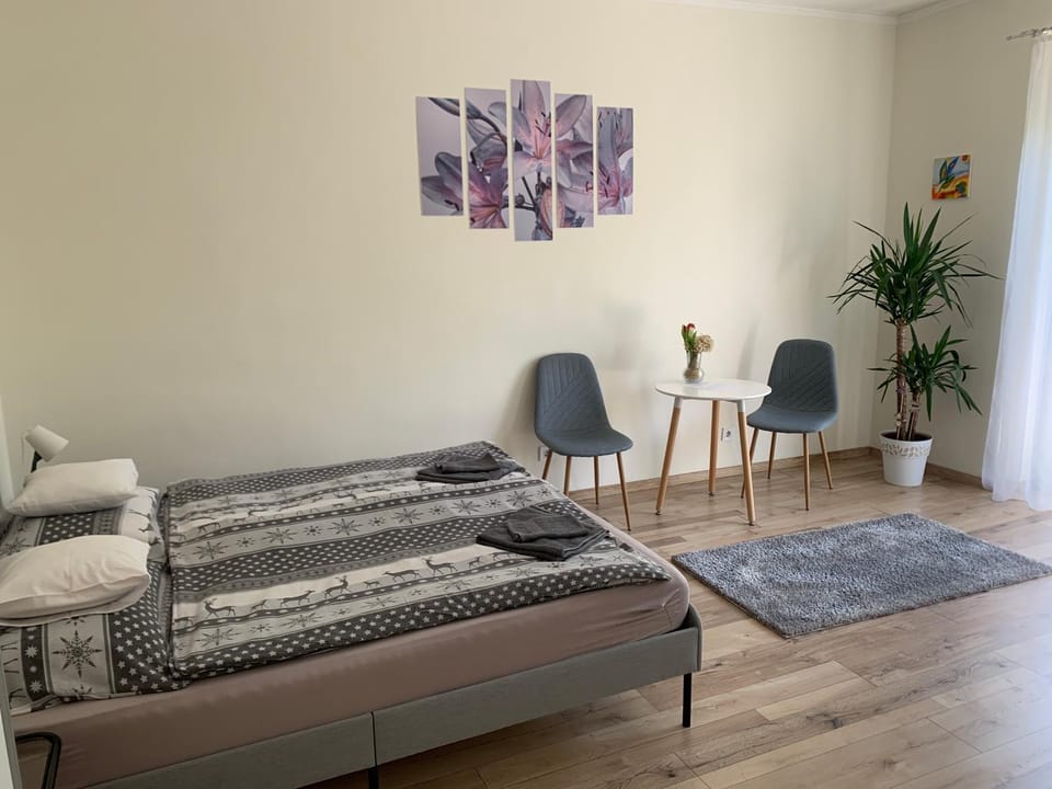 Világos, kellemes lakás, jó közlekedéssel Apartment in Budapest