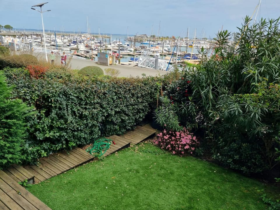 Garden, Garden view, Sea view