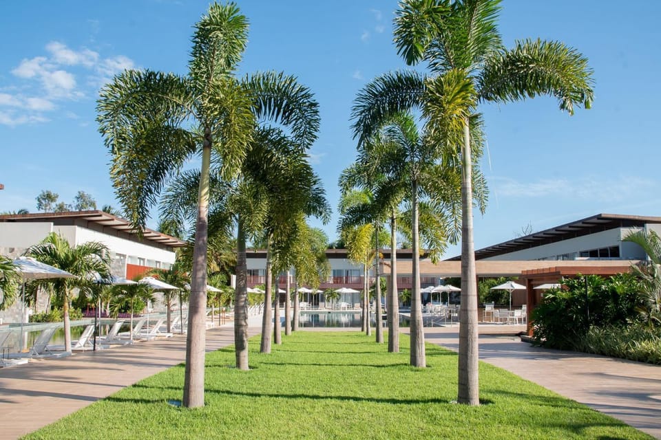 Area and facilities