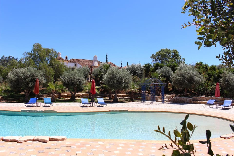 Garden, Garden view, Swimming pool