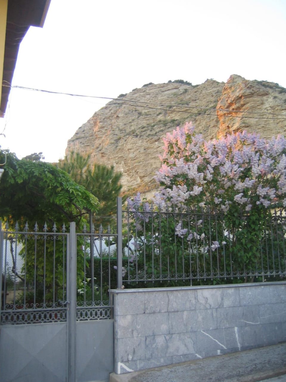 Natural landscape, Garden