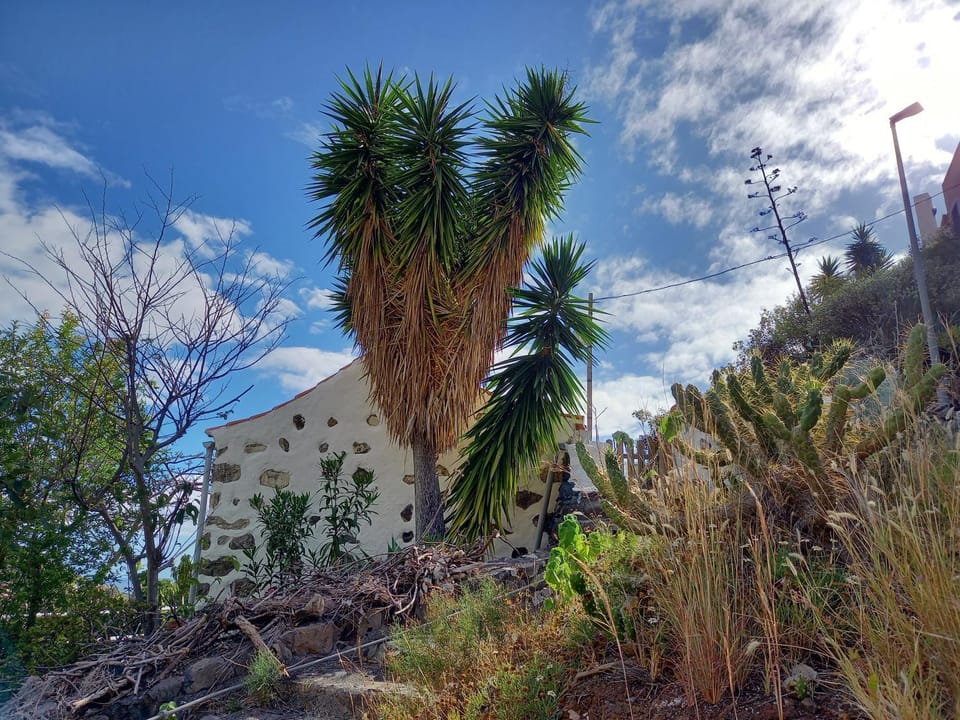 Casa Panama House in La Gomera