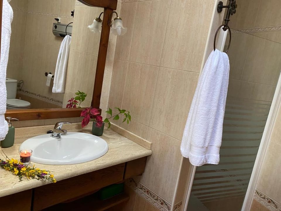 Shower, Bathroom, towels