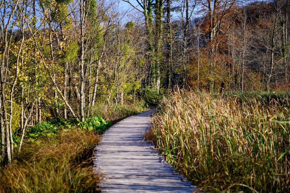 Apartment Goran House in Plitvice Lakes Park