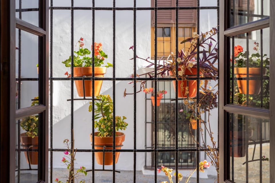 Casa Blanca House in Estepona