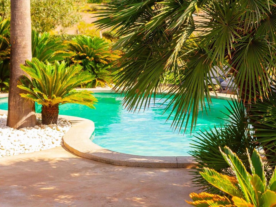Pool view, Swimming pool