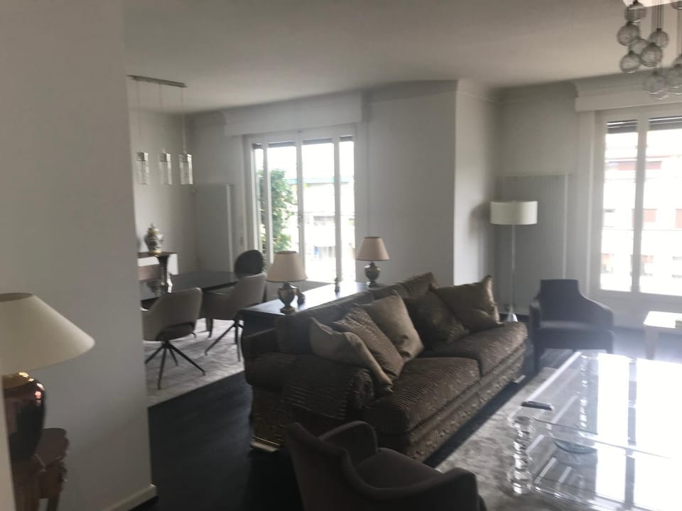 SPLENDIDE APPARTEMENT EN ATTIQUE -GENEVE - CHAMPEL Apartment in Geneva