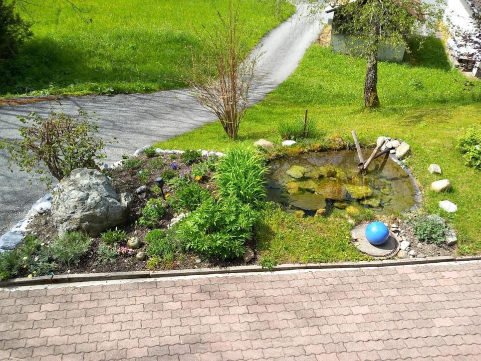 Spring, Garden, Garden, Garden view