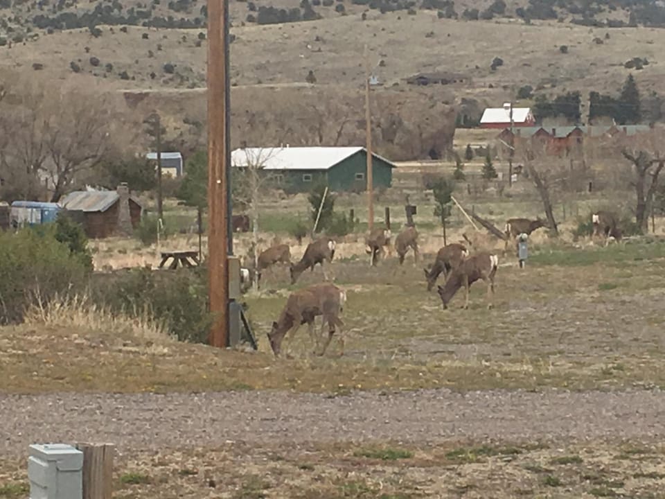 South Fork Lodge & RV Park Colorado Nature lodge in South Fork