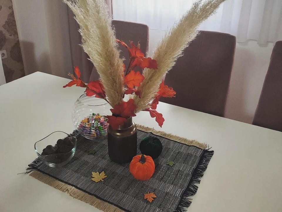 Apartman Jana Apartment in Vojvodina