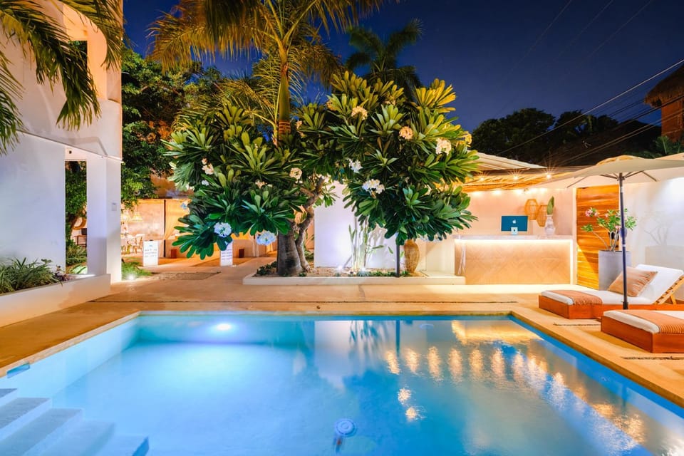 Property building, Night, Garden, Garden view, Pool view, Swimming pool, sunbed