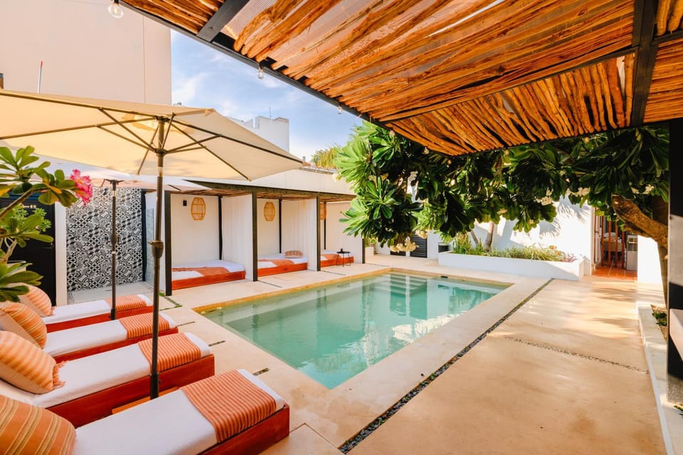 Day, Garden, Garden view, Pool view, Swimming pool, sunbed