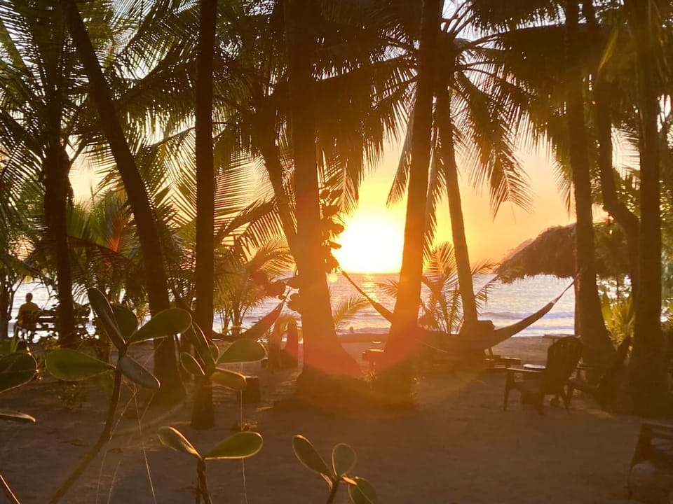Garden, Beach