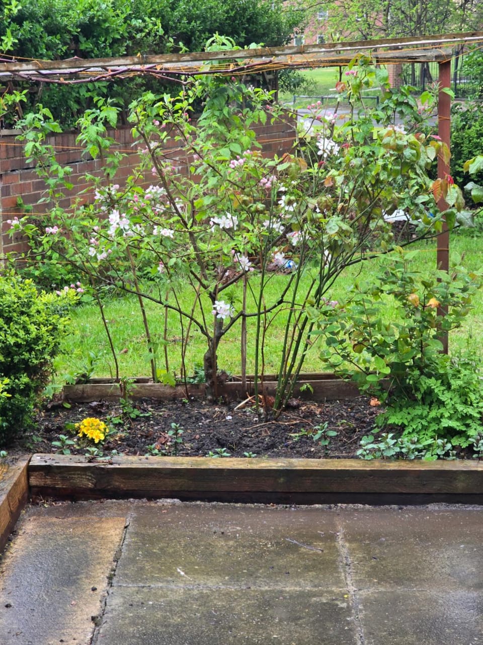 2 Bedroom Cozy Chambers with free parking Apartment in Leeds