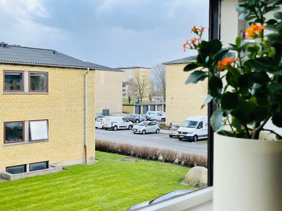 Property building, Neighbourhood, Garden, View (from property/room), Street view