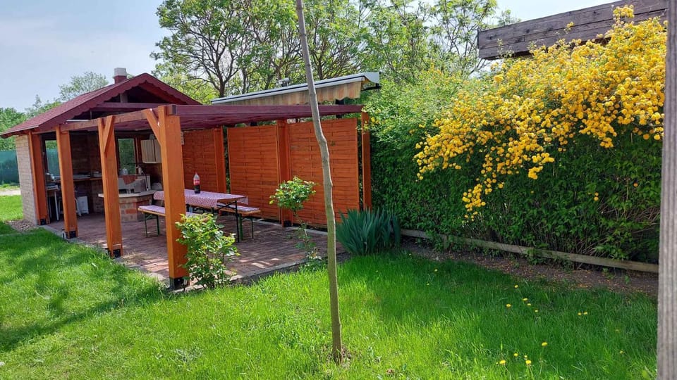 Summer, Garden
