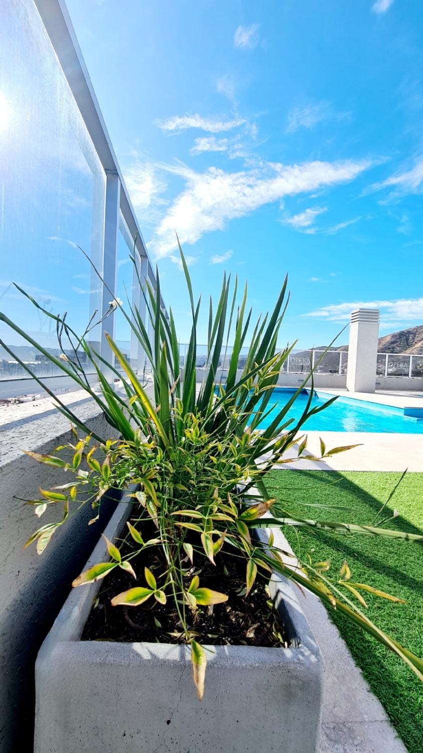 Pool view, Swimming pool, Swimming pool