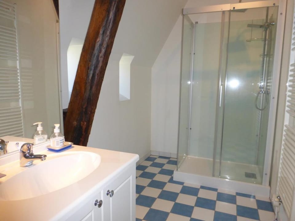 Gîte de charme avec piscine chauffée et sauna, au cœur d'une propriété historique en Val de Loire - FR-1-381-128 House in Centre-Val de Loire