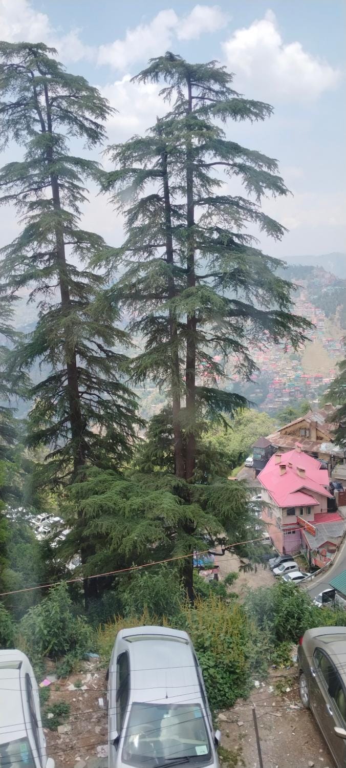 Spring, Mountain view