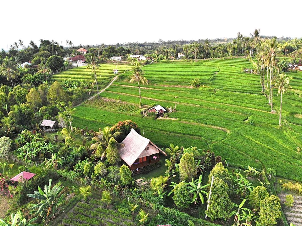 Cute Eco Cottage Near 7 Waterfalls House in Buleleng