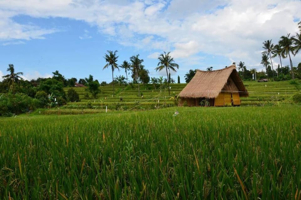 Cute Eco Cottage Near 7 Waterfalls House in Buleleng
