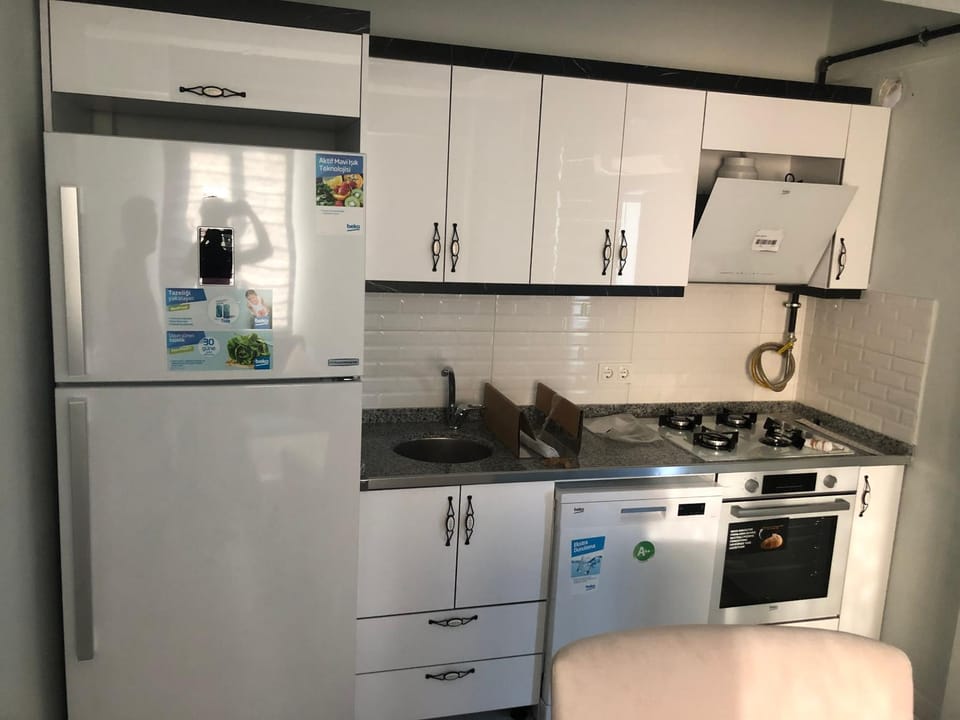 Kitchen or kitchenette, dishwasher, minibar, oven, pet friendly, stove