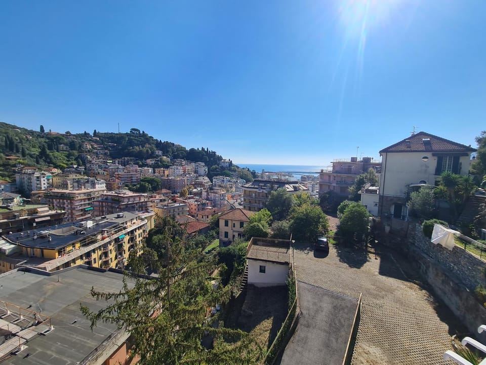 Neighbourhood, City view