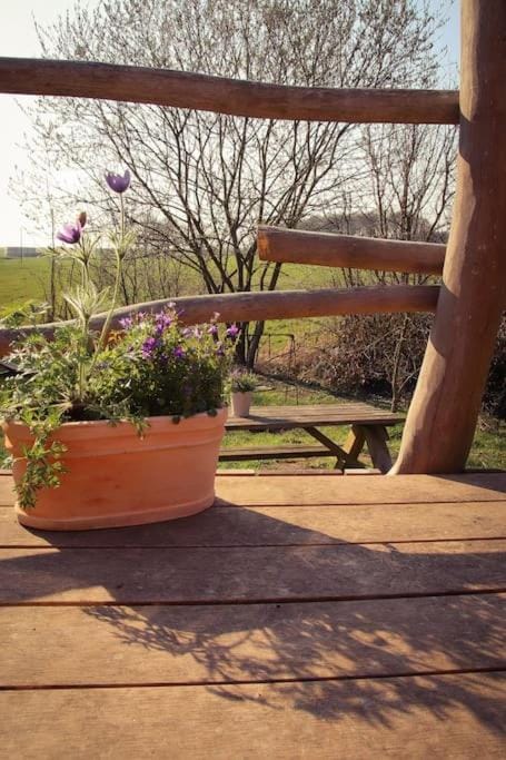 Day, Garden, View (from property/room), Balcony/Terrace, Garden view