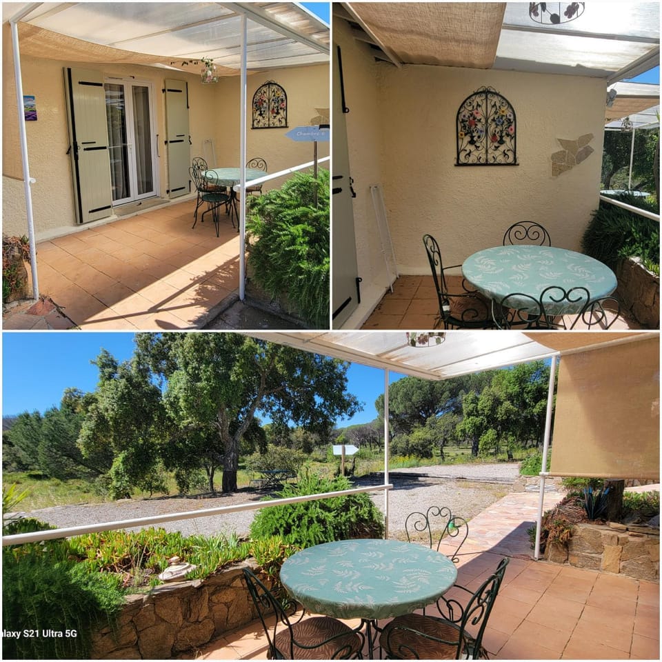 Patio, Garden view