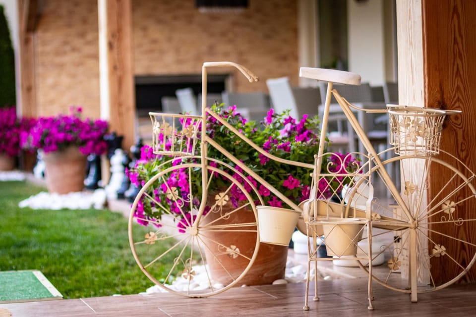 Patio, Garden, Balcony/Terrace