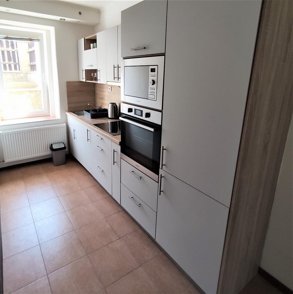 Kitchen or kitchenette, minibar, pet friendly, stove
