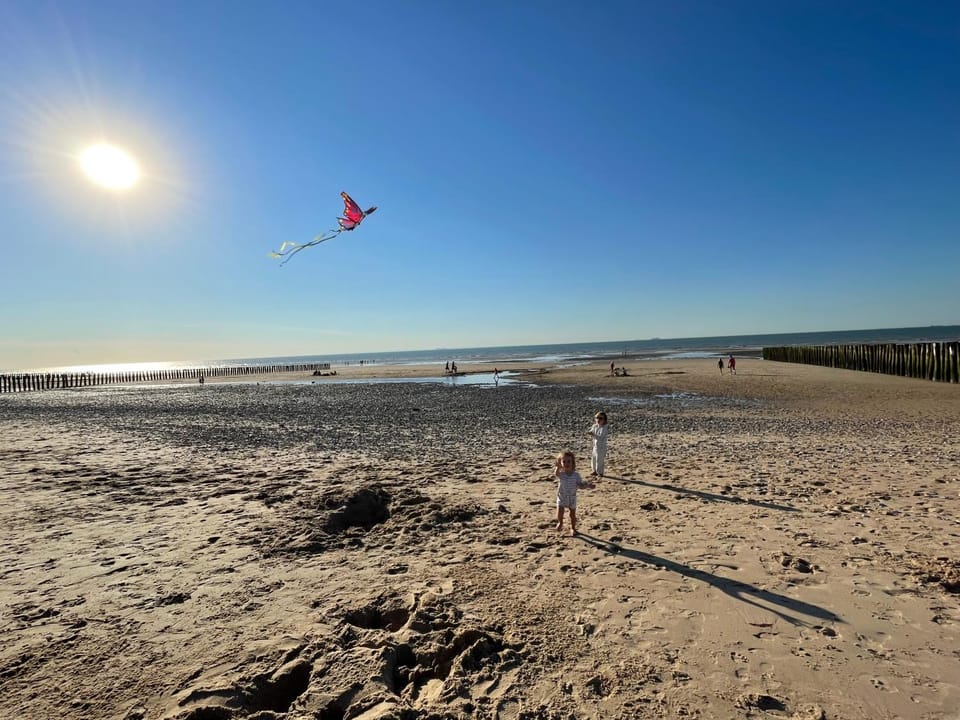 Day, Natural landscape, Beach