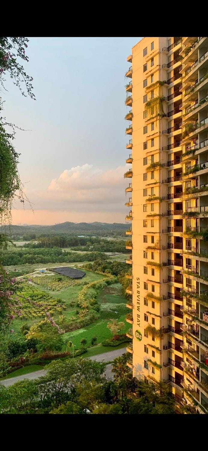 Garden view